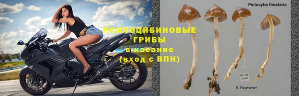 прущая мука Саяногорск