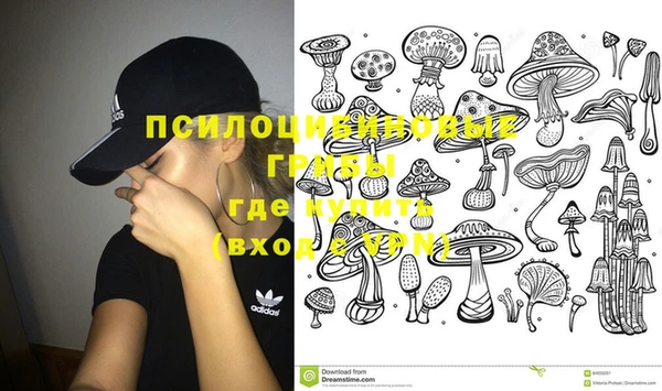 кокс Ладушкин