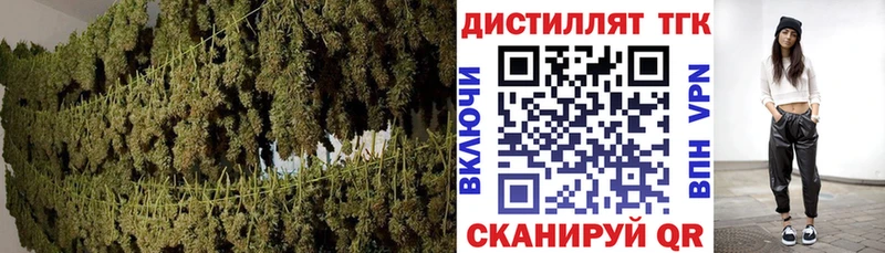 закладка Невельск Дистиллят ТГК вейп